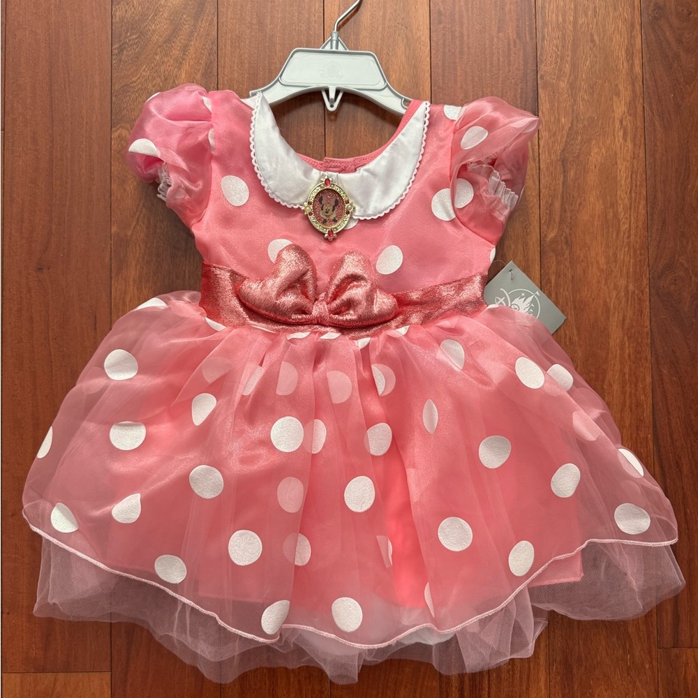 Disney Pink and White Polka Dot Minnie Mouse Costume